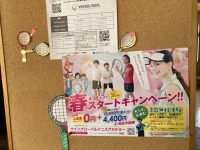 ウィングローバルテニスアカデミー南栗橋春の入会キャンペーン実施中🌸🌸