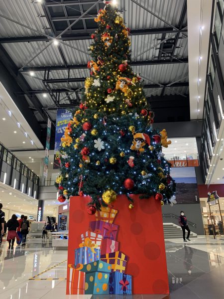 D6A5A403-1367-49C0-BAF2-F13FC5D130DD