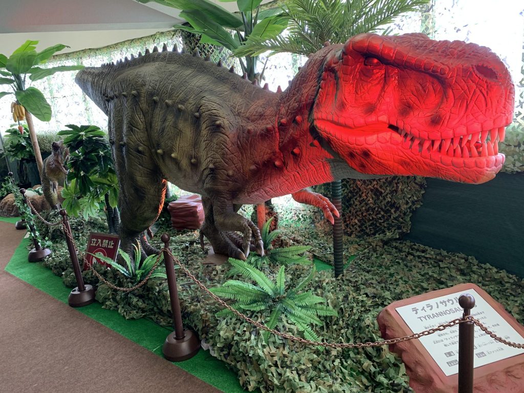 マザー牧場 恐竜展 幕張テニススクール テニススクールのウイングローバルテニスアカデミー幕張 マザー牧場 恐竜展 幕張テニススクール テニススクールのウイングローバルテニスアカデミー幕張