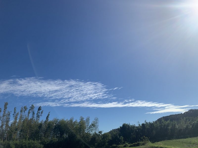 89AF59A7-4541-4965-885B-445D5A1D7000