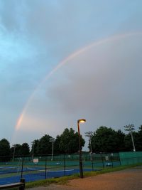 久しぶりに見ました！