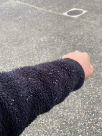 雪が降ってきました！